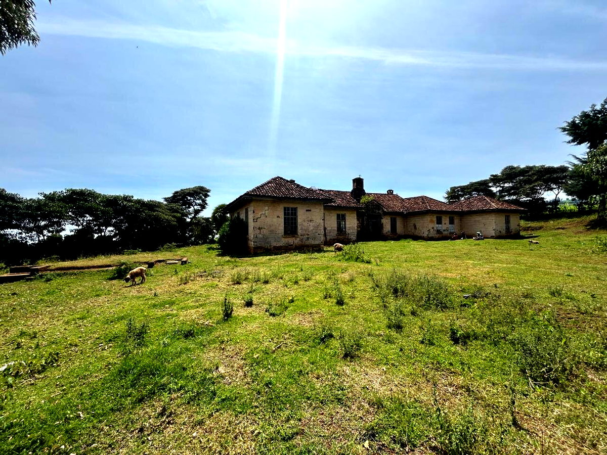6-Acre Countryside Gem for KSh 17M