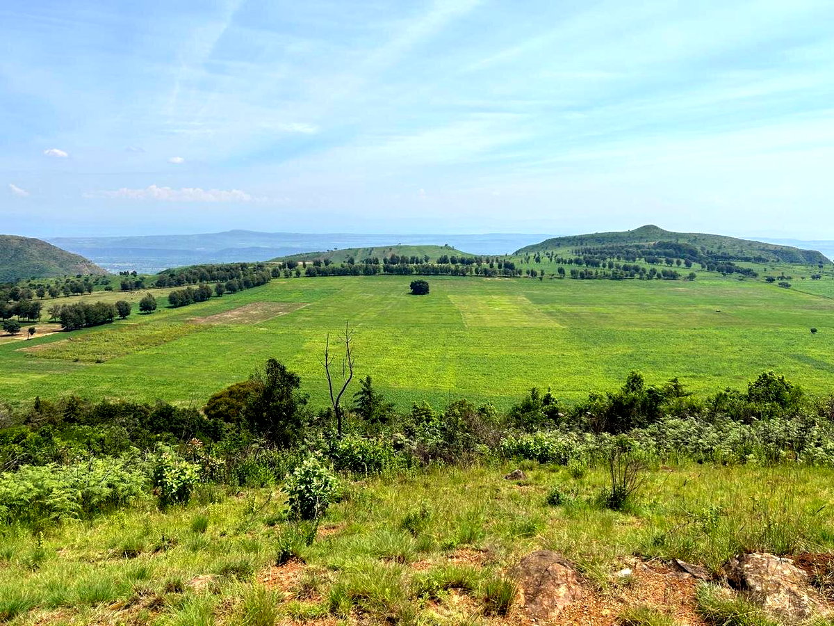 6-Acre Countryside Gem for KSh 17M