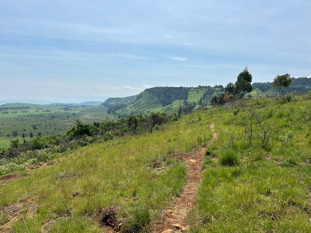 6-Acre Countryside Gem for KSh 17M