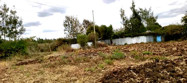 Half Acre Plot for Sale in Ngong Matasia Merisho Road