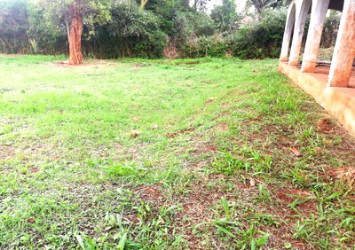 50x100 Plot in South C for KSh 70M