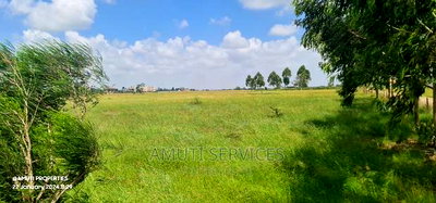 Katani: 50 Acres for Sale - Image 3