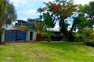 2bdrm Bungalow in Dunga Beach for sale - Image 7