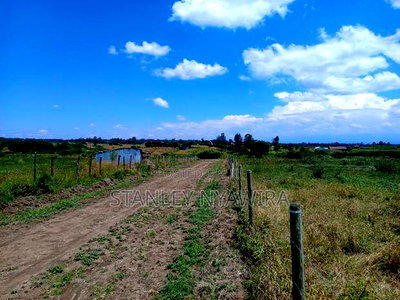 Half Acre Nanyuki Sweet Water Mirerea - Image 3