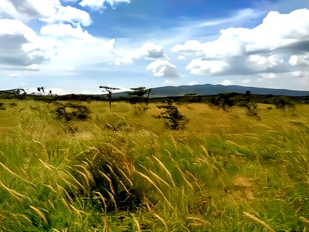 Residential Quarter Acre Plot in Kiserian Near Olerai School