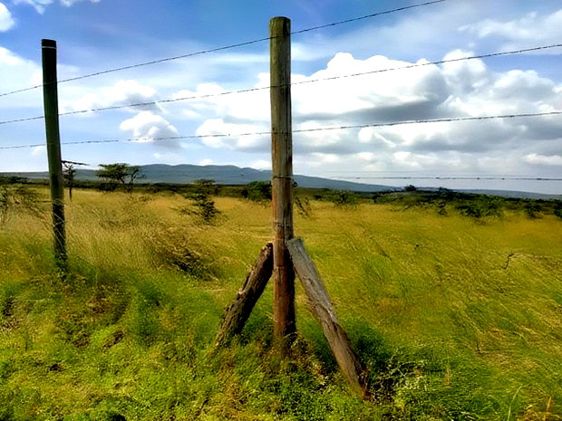 Residential Quarter Acre Plot in Kiserian Near Olerai School