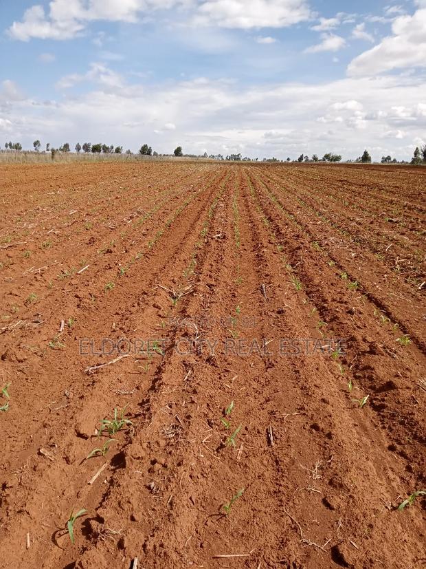 7 Acres With Title Merewet.