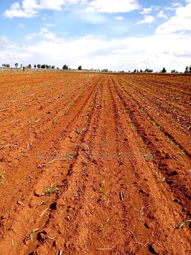 7 Acres With Title Merewet.