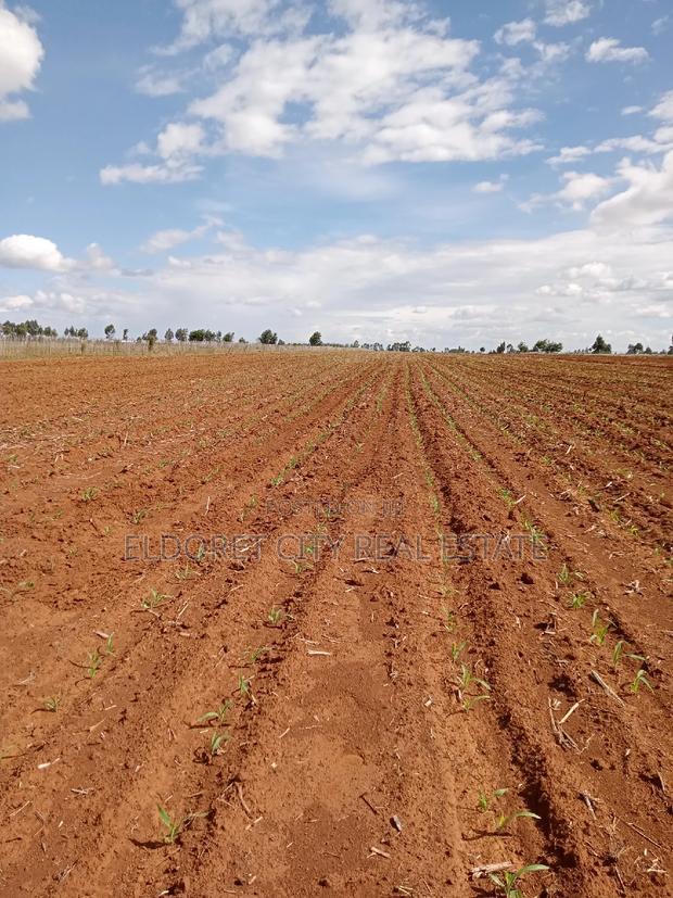 7 Acres With Title Merewet.