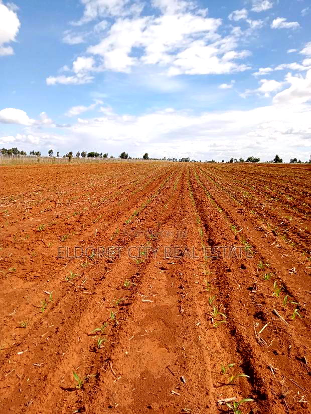 7 Acres With Title Merewet.