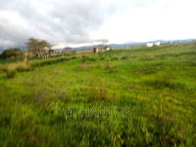 Prime 50 by 100 Plots in Joska-Kamulu - Image 3