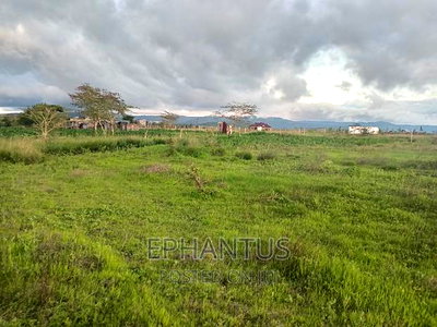 Prime 50 by 100 Plots in Joska-Kamulu - Image 2