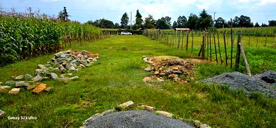 1/4 Plot for Sale in Illula Eldoret City - Image 6