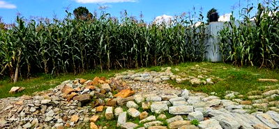 1/4 Plot for Sale in Illula Eldoret City - Image 4