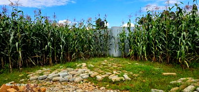 1/4 Plot for Sale in Illula Eldoret City - Image 3