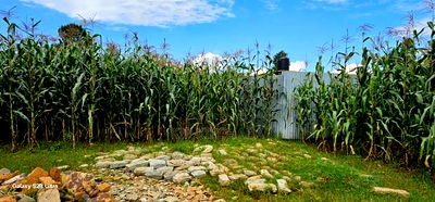 1/4 Plot for Sale in Illula Eldoret City - Image 1