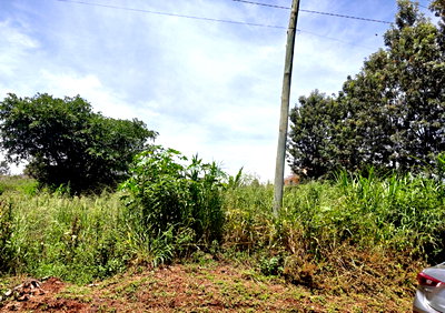 1/2 Acre Garden Plot at KSh 35M