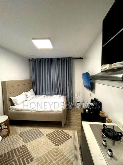 Furnished Studio Apartment in Furnished Studio At, Mlolongo for rent - Image 6