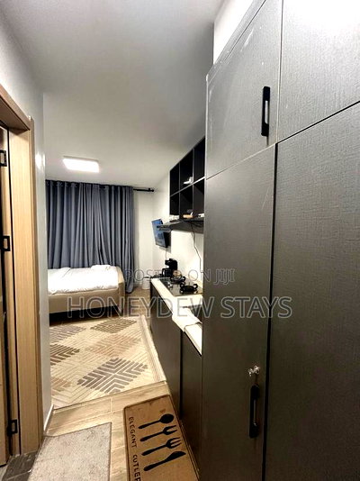 Furnished Studio Apartment in Furnished Studio At, Mlolongo for rent - Image 7