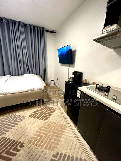Furnished Studio Apartment in Furnished Studio At, Mlolongo for rent - Image 11
