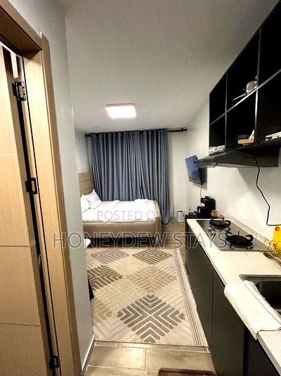 Furnished Studio Apartment in Furnished Studio At, Mlolongo for rent - Image 16