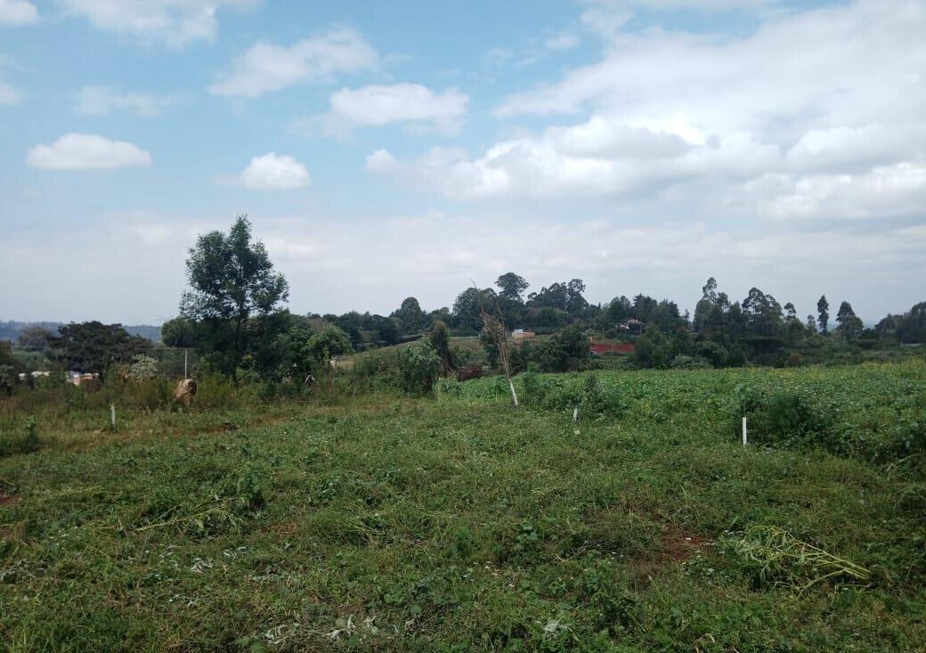 Garden Plot at KSh 30M