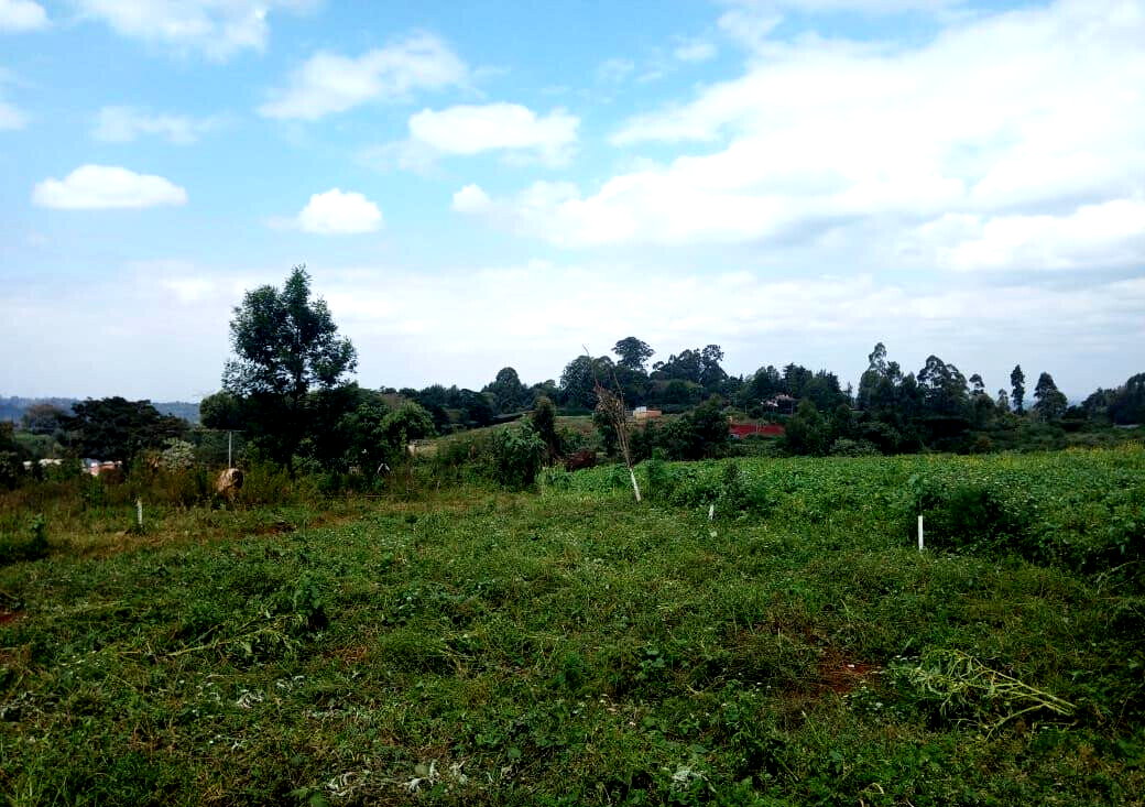 Garden Plot at KSh 30M
