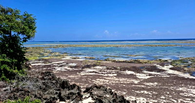 4-Acre Beachfront Plot for Sale