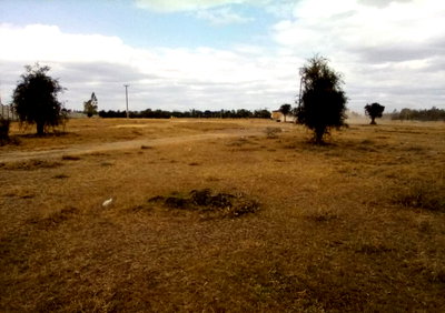 25-Acre Freehold Land for KSh 15M
