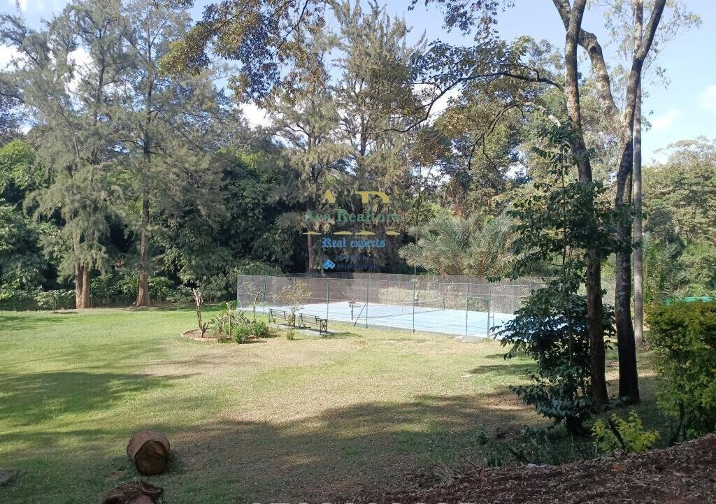 50x100 Plot 5BR House for Rent
