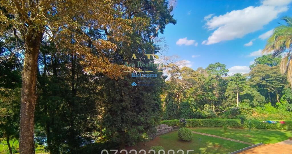 50x100 Plot 5BR House for Rent