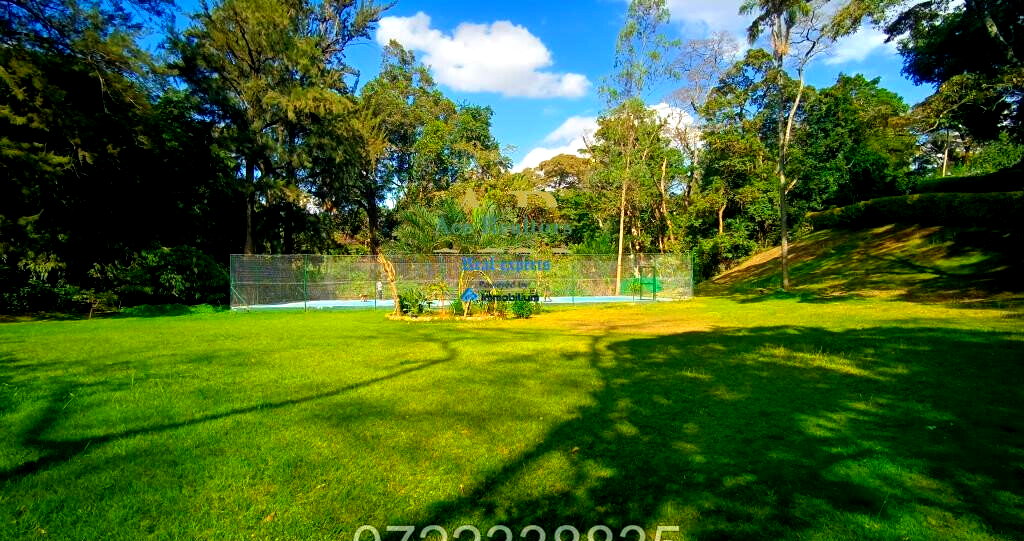 50x100 Plot 5BR House for Rent