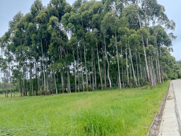 Commercial Land for Sale