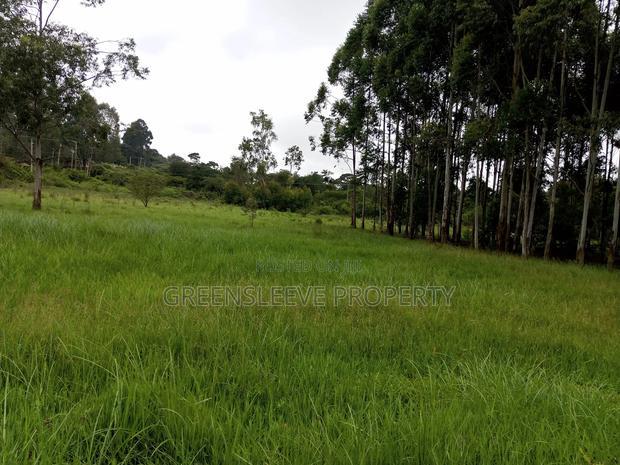 Commercial Land for Sale