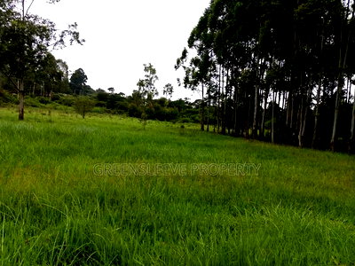 Commercial Land for Sale - Image 9