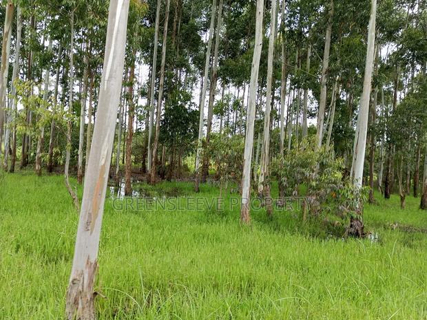 Commercial Land for Sale