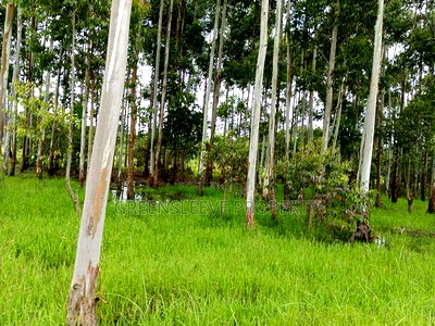 Commercial Land for Sale - Image 7