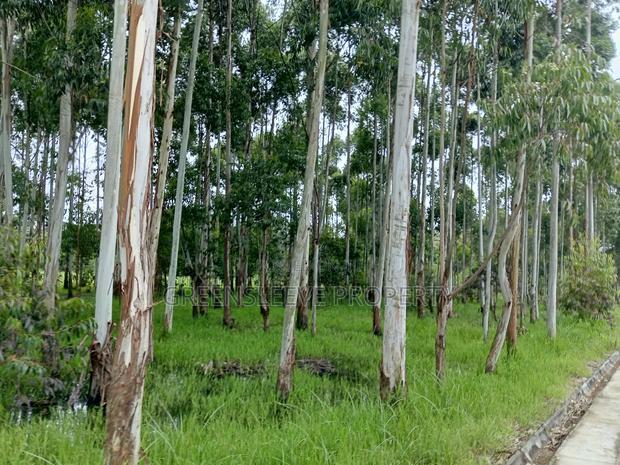 Commercial Land for Sale