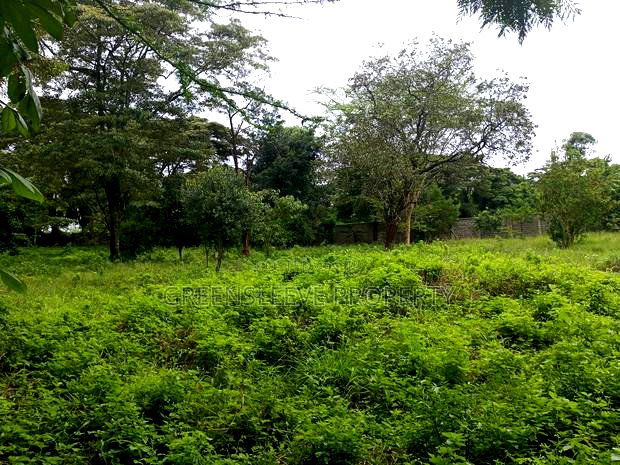 Commercial Land for Sale