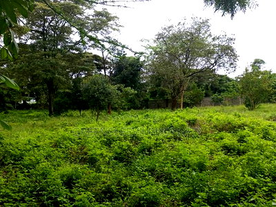 Commercial Land for Sale - Image 1