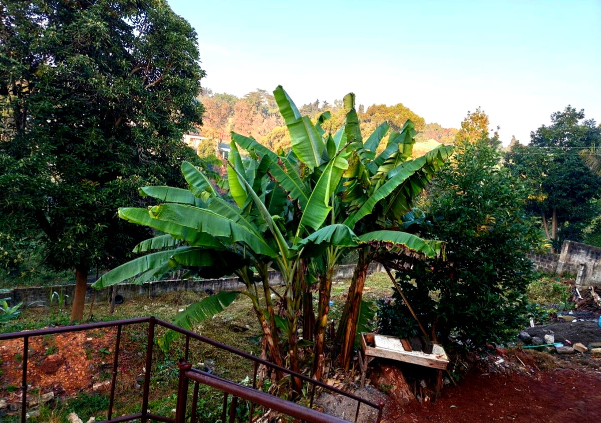 3/4 Acre Kitisuru Plot at KSh 65M