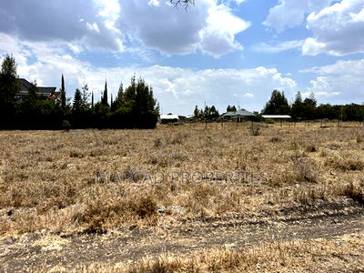 1 Acre for Sale Kitengela Kimalat 2km From Tarmac - Image 3