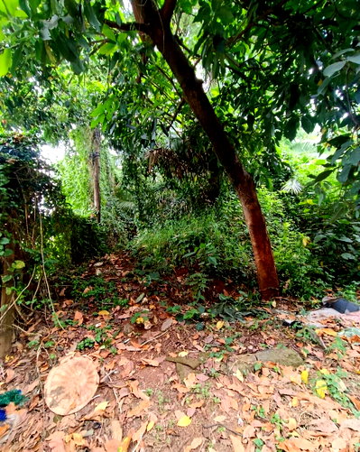 Half Acre Westlands Gem for KSh 225M