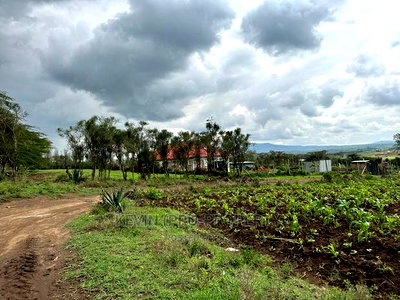 Prime 50by100ft Plots for Sale in Mai-Mahiu - Image 9