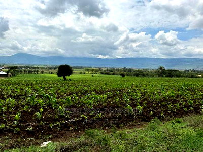 Prime 50by100ft Plots for Sale in Mai-Mahiu - Image 11