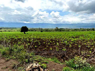 Prime 50by100ft Plots for Sale in Mai-Mahiu - Image 12