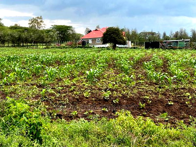 Prime 50by100ft Plots for Sale in Mai-Mahiu - Image 13