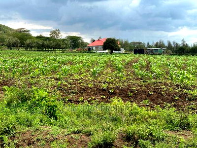 Prime 50by100ft Plots for Sale in Mai-Mahiu - Image 10