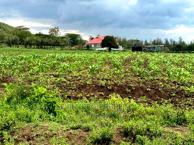 Prime 50by100ft Plots for Sale in Mai-Mahiu - Image 8