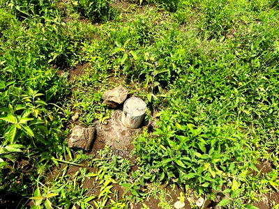 Prime 50by100ft Plots for Sale in Mai-Mahiu - Image 14